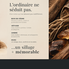 ODYSSÉE DES BOIS - Eau de Parfum